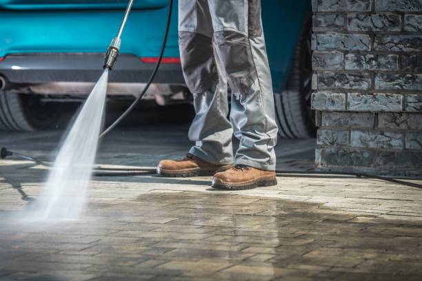 Best Patio and Deck Pressure Washing  in Birch Run, MI
