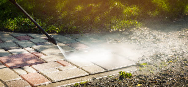 Best Solar Panel Cleaning  in Birch Run, MI